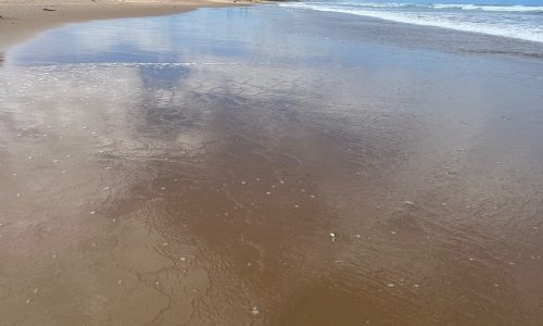 Breaking Up With Toxicity