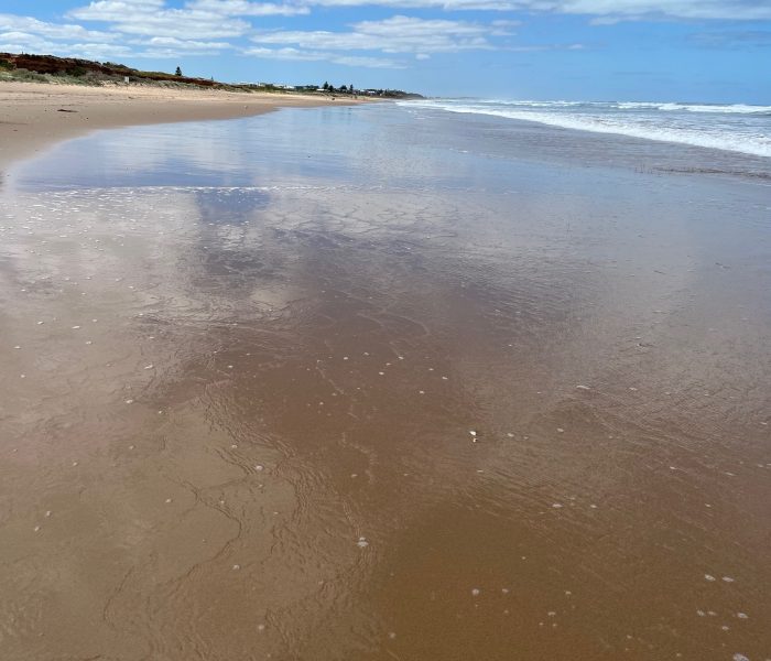 Breaking Up With Toxicity